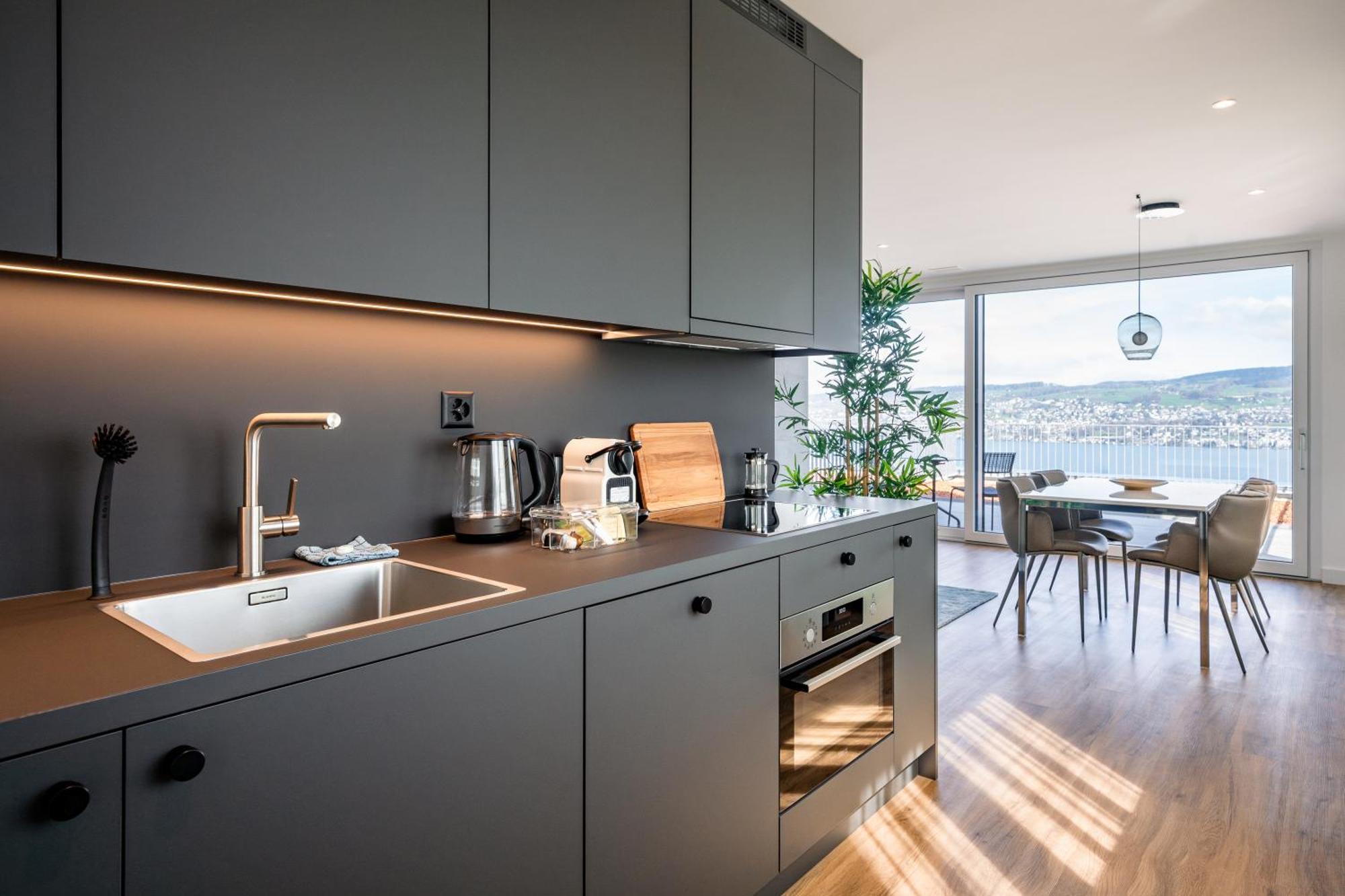 Aestate Living Lakeview In Horgen Zuerich Zug Pfaeffikon מראה חיצוני תמונה